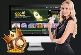 850bet7